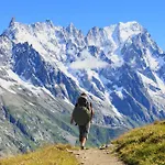 Cozy With Garden In - Happy Lejlighed Courmayeur